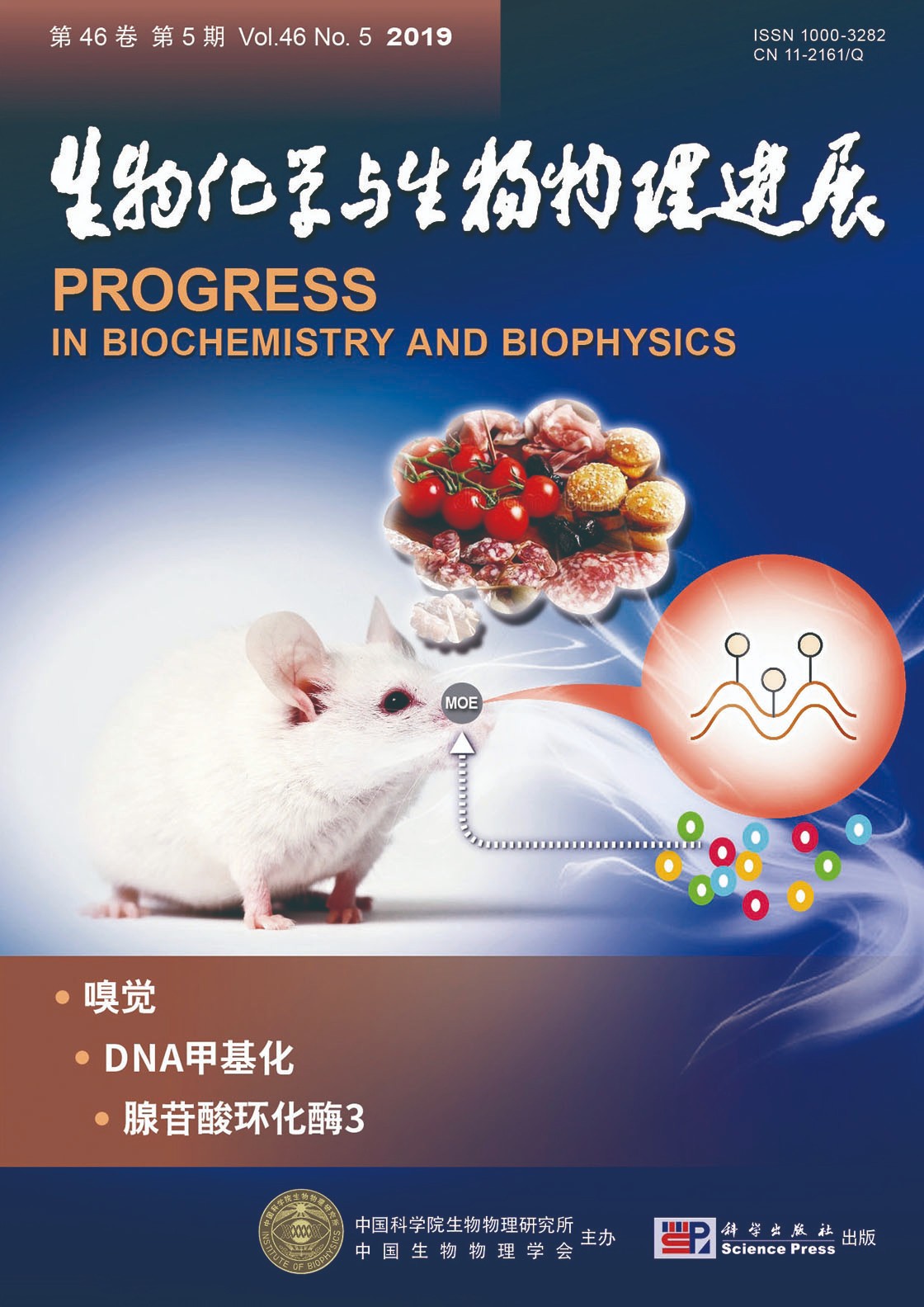 恭贺实验室周艳芬老师论文发表在 生物化学与生物物理研究进展 并作为19年第五期封面文章 课题组新闻 动物分子遗传学课题组